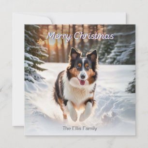 Welsh Collie Hund Snö Akvarell God Jul Julkort