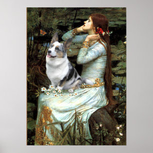 Welsh Corgi (blå merle) - Ophelia sittande Poster