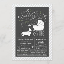 Welsh Corgi Hund Baby Shower