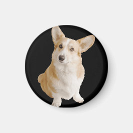 Welsh Corgi Hund Magnet