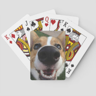 Welsh Corgi Hund Nose Collection Spelkort