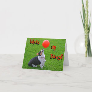 Welsh Corgi Note Card: Whad Up Dawg? Kort