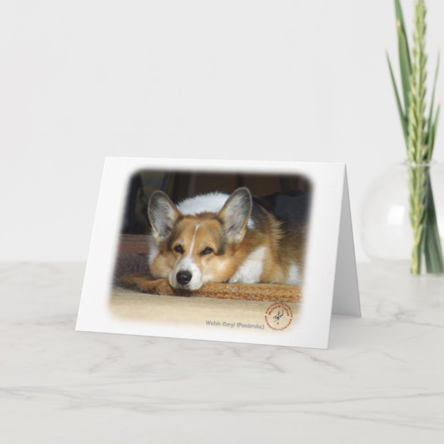 Welsh Corgi (Pembroke) Kort (Framsida)