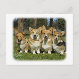 Welsh Corgi (Pembroke) Vykort