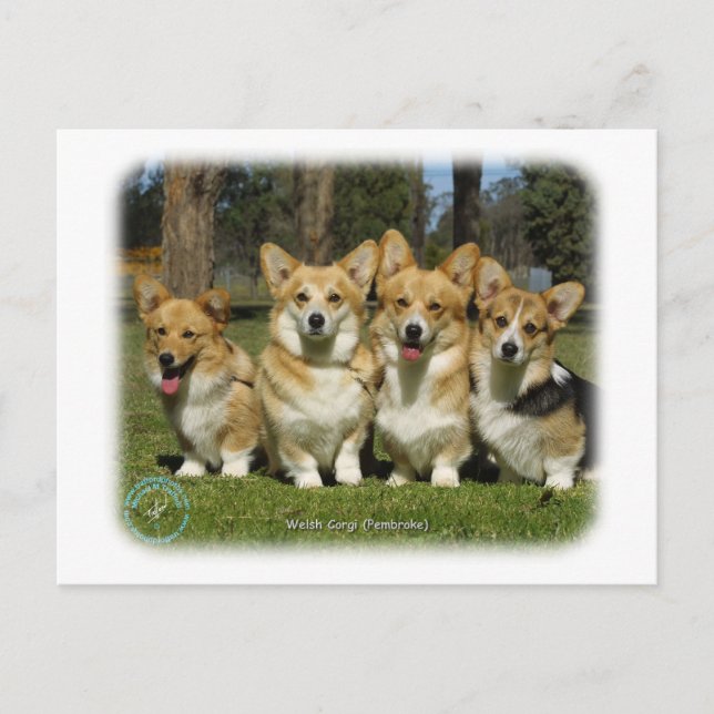 Welsh Corgi (Pembroke) Vykort (Framsida)