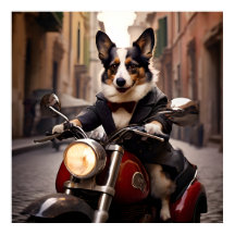 Welsh Corgi tävla på Roms gator på en Vespa