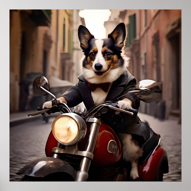 Welsh Corgi tävla på Roms gator på en Vespa Poster (Framsidan)