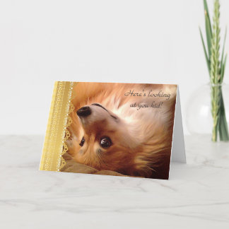 Welsh Corgi Valentine Tittar på dig unge Helgkort