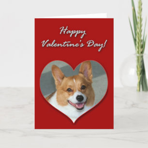 Welsh Corgi Valentines day Card Helgkort