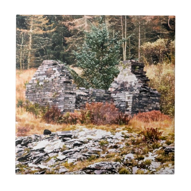 WELSH COTTAGES KAKELPLATTA (Framsidan)