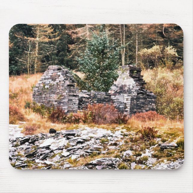 WELSH COTTAGES MUSMATTA (Framsidan)