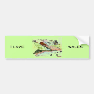 Welsh Countryside Bildekal