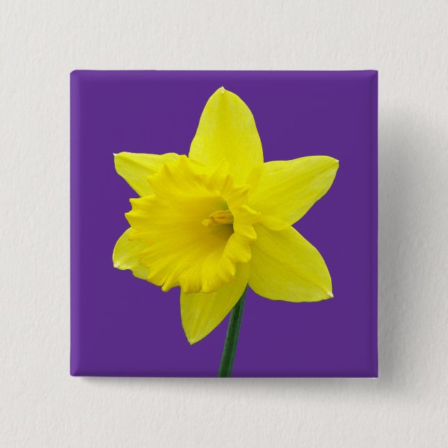 Welsh Daffodil - II - Square Knapp (Framsida)