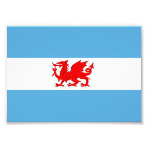 Welsh Dragon Flagga of Patagonia Colony Fototryck