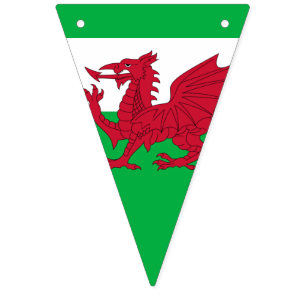 Welsh Dragon ~ Flagga of Wales