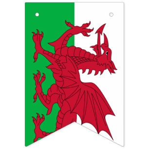 Welsh Dragon ~ Flagga of Wales