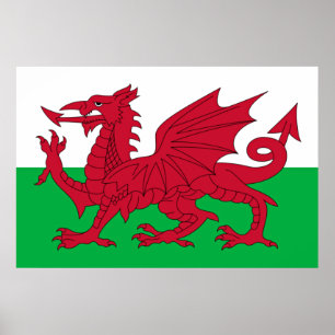 Welsh Dragon ~ Flagga of Wales Poster