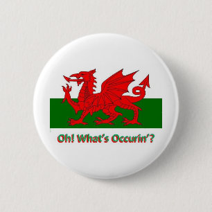 welsh drake knapp