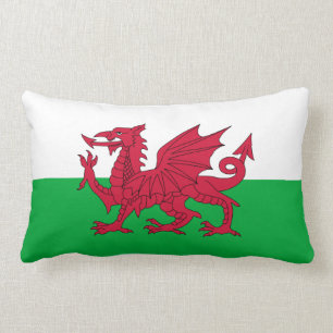 Welsh draon flagga lumbarkudde
