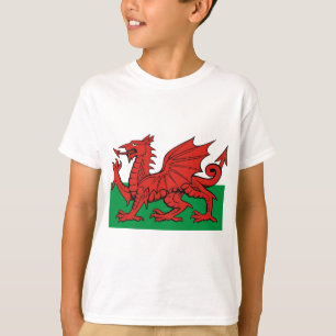 Welsh flagga, bära det med pride t-shirt