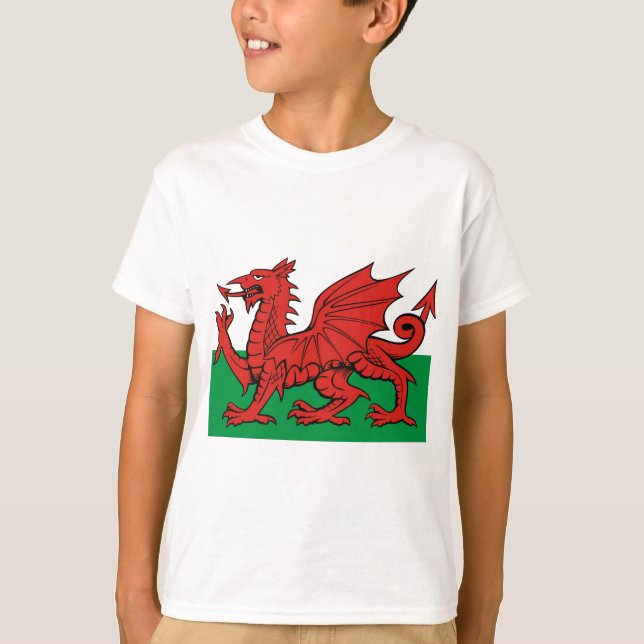 Welsh flagga, bära det med pride t-shirt (Framsida)