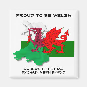 Welsh FLAGGA of WALES Red Dragon St David Quote Magnet