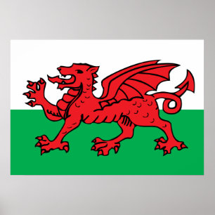 Welsh Flagga Poster