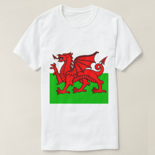 Welsh Flagga T Shirt