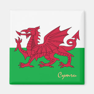 Welsh Flagga & Wales, resa, helgdag, sport/cymru Magnet