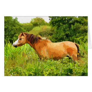 WELSH MOUNTAIN PONY Card Hälsningskort