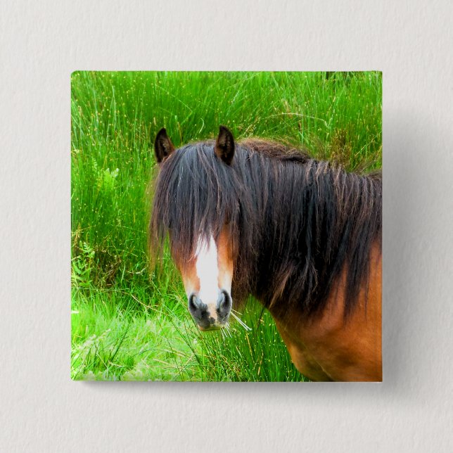 WELSH MOUNTAIN PONY KNAPP (Framsida)