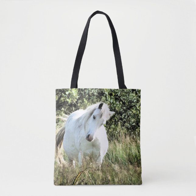 WELSH MOUNTAIN PONY MARE TYGKASSE (Framsida)