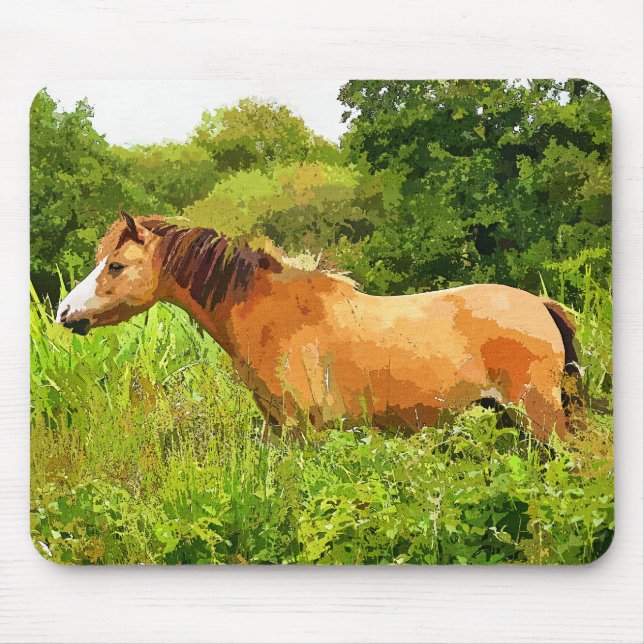 WELSH MOUNTAIN PONY MUSMATTA (Framsidan)