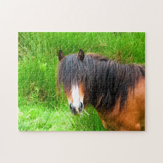 WELSH MOUNTAIN PONY PUSSEL (Horisontell)