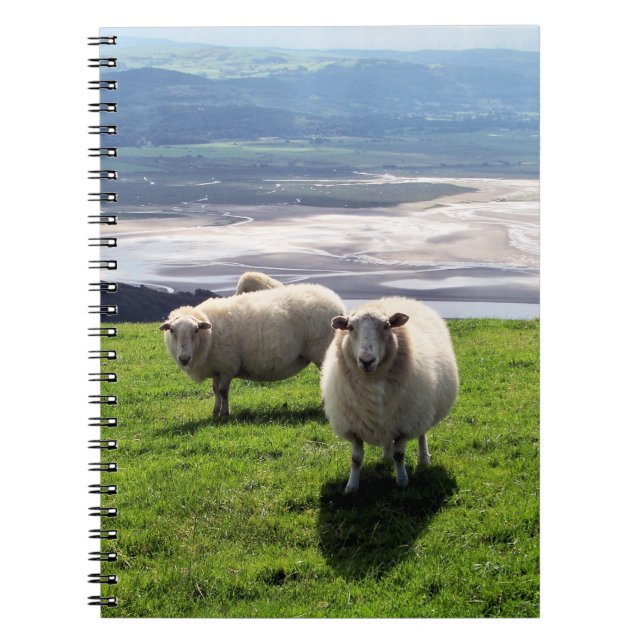 WELSH MOUNTAIN SHEEP ANTECKNINGSBOK MED SPIRAL (Framsidan)