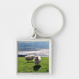 WELSH MOUNTAIN SHEEP FYRKANTIG SILVERFÄRGAD NYCKELRING