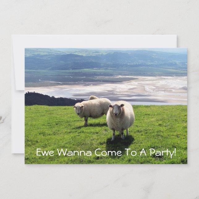 WELSH MOUNTAIN SHEEP INBJUDNINGAR (Framsida)