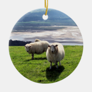WELSH MOUNTAIN SHEEP JULGRANSPRYDNAD KERAMIK