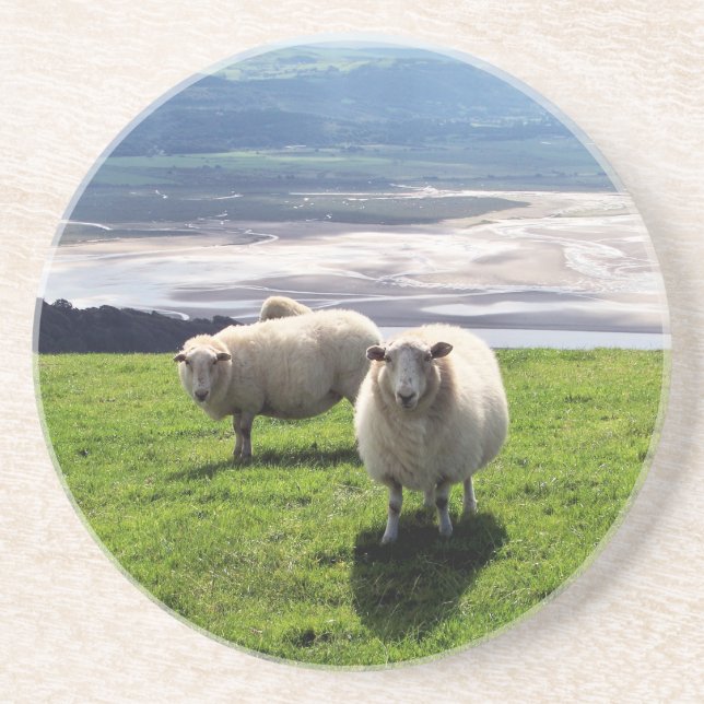 WELSH MOUNTAIN SHEEP UNDERLÄGG (Framsidan)