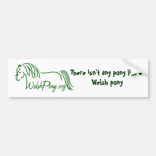 Welsh Pony & Cob Förening i Amerika Bildekal (Framsidan)