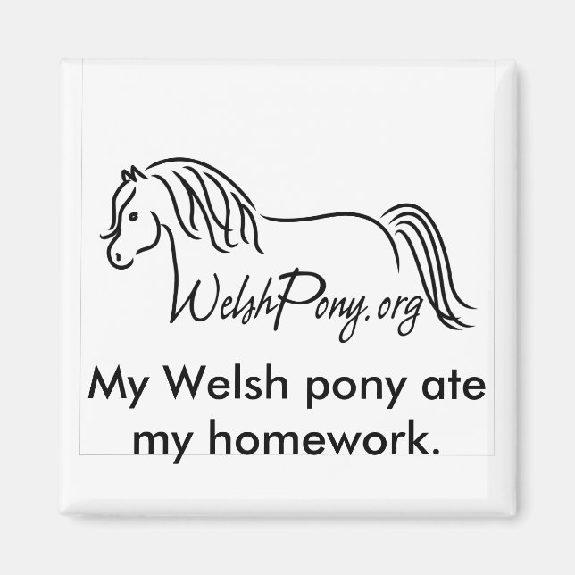 Welsh Pony & Cob Society of America Magnet (Framsidan)