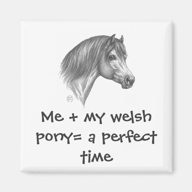 Welsh Pony & Cob Society of America Magnet (Framsidan)
