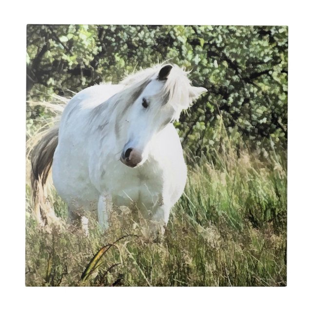 WELSH PONY KAKELPLATTA (Framsidan)
