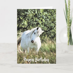 WELSH PONY KORT