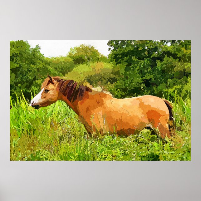 WELSH PONY POSTER (Framsidan)