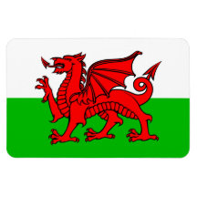 Welsh Red Dragon Wales Flagga