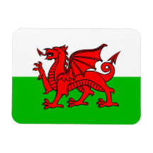 Welsh Red Dragon Wales Flagga