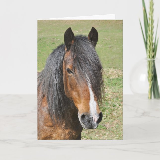 Welsh Section D-födelsedag Kort (Framsida)