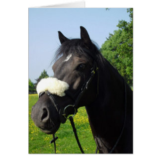 Welsh Section D OBS Kort