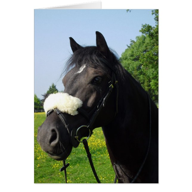 Welsh Section D OBS Kort (Framsidan)